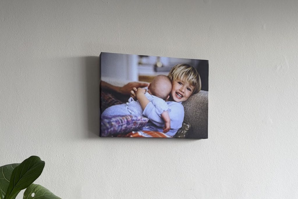 Momento Canvas Print Unframed